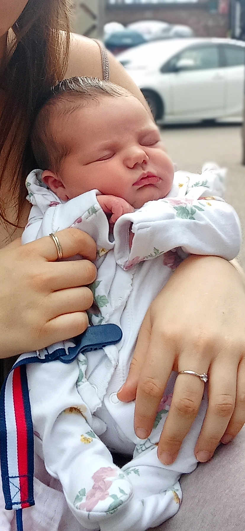 Isabella-Rose