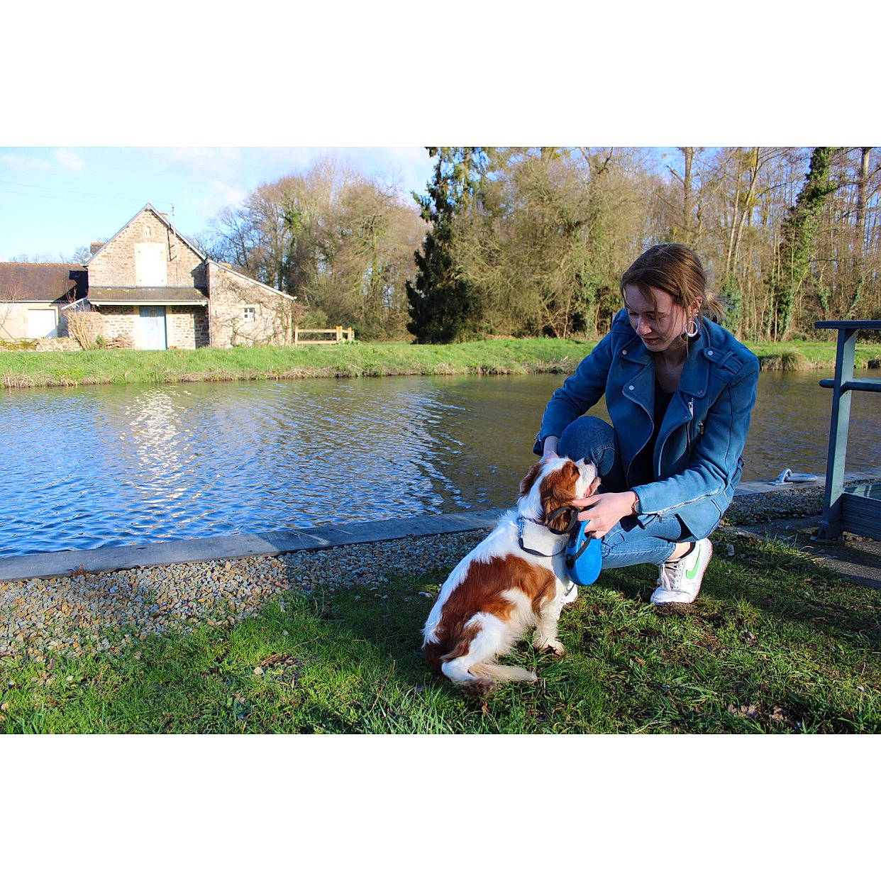 Mya a rejoint le concours — aidez-le/la à gagner de superbes lots ! basset_artesien_normand, basset_hound, canidae, carnivore, cavalier_king_charles_spaniel, companion_dog, dog, dog_breed, drever, grass, hound, jacket, lawn, petit_basset_griffon_vendeen, puppy, sporting_group, westphalian_dachsbracke