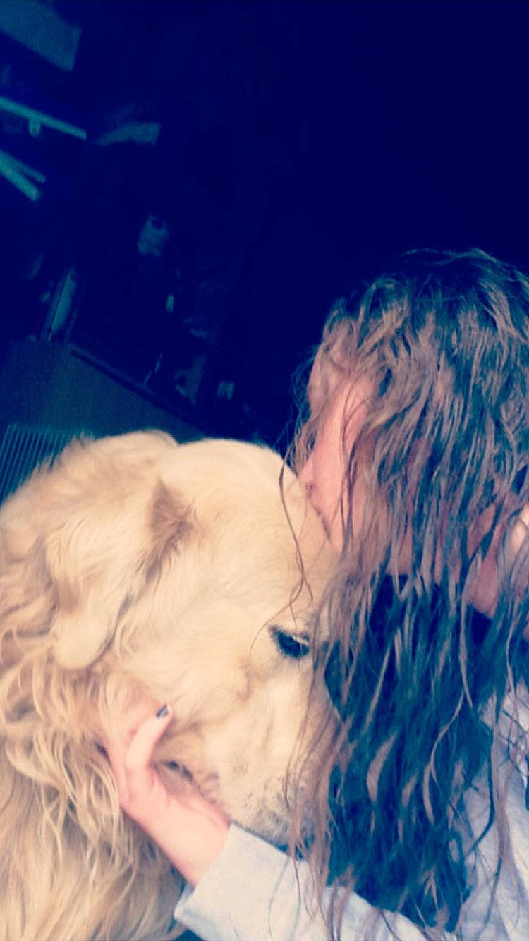 Beethoven a rejoint le concours — aidez-le/la à gagner de superbes lots ! blond, canidae, cloud, companion_dog, dog, dog_breed, ear, eye, fur, hair, interaction, jaw, long_hair, love, nose, puppy, sky, sporting_group