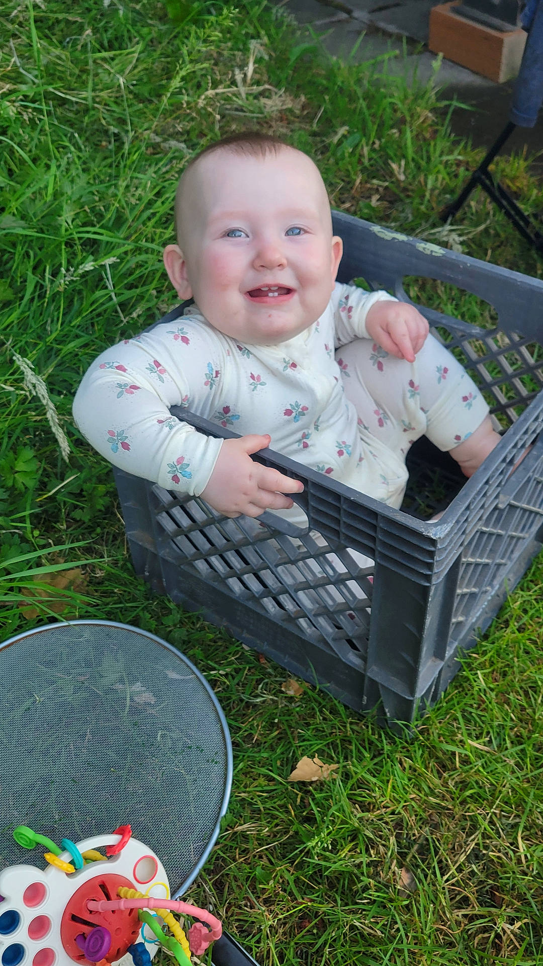 Azalea joined the competition — help win amazing prizes! baby, backyard, basket, box, face, grass, green, happy, head, lawn, nature, outdoors, person, photography, pingpong, pingpongpaddle, plant, portrait, pottedplant, yard