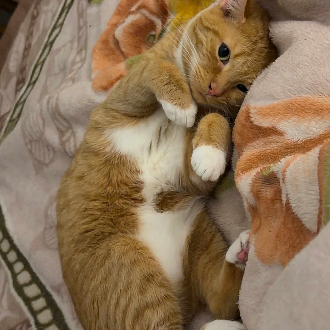 Nina