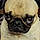 Yoda