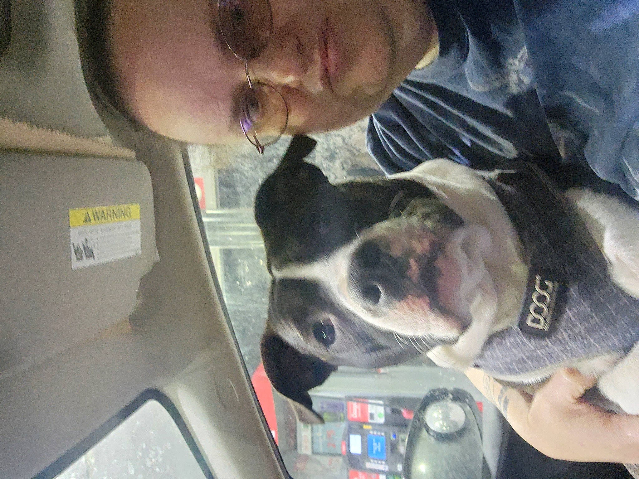 Demon joined the competition — help win amazing prizes! auto_part, canidae, carnivore, collar, companion_dog, dog, dog_breed, ear, eyewear, fawn, gesture, jaw, personal_protective_equipment, selfie, smile, snout, sporting_group, vehicle, vehicle_door, windshield