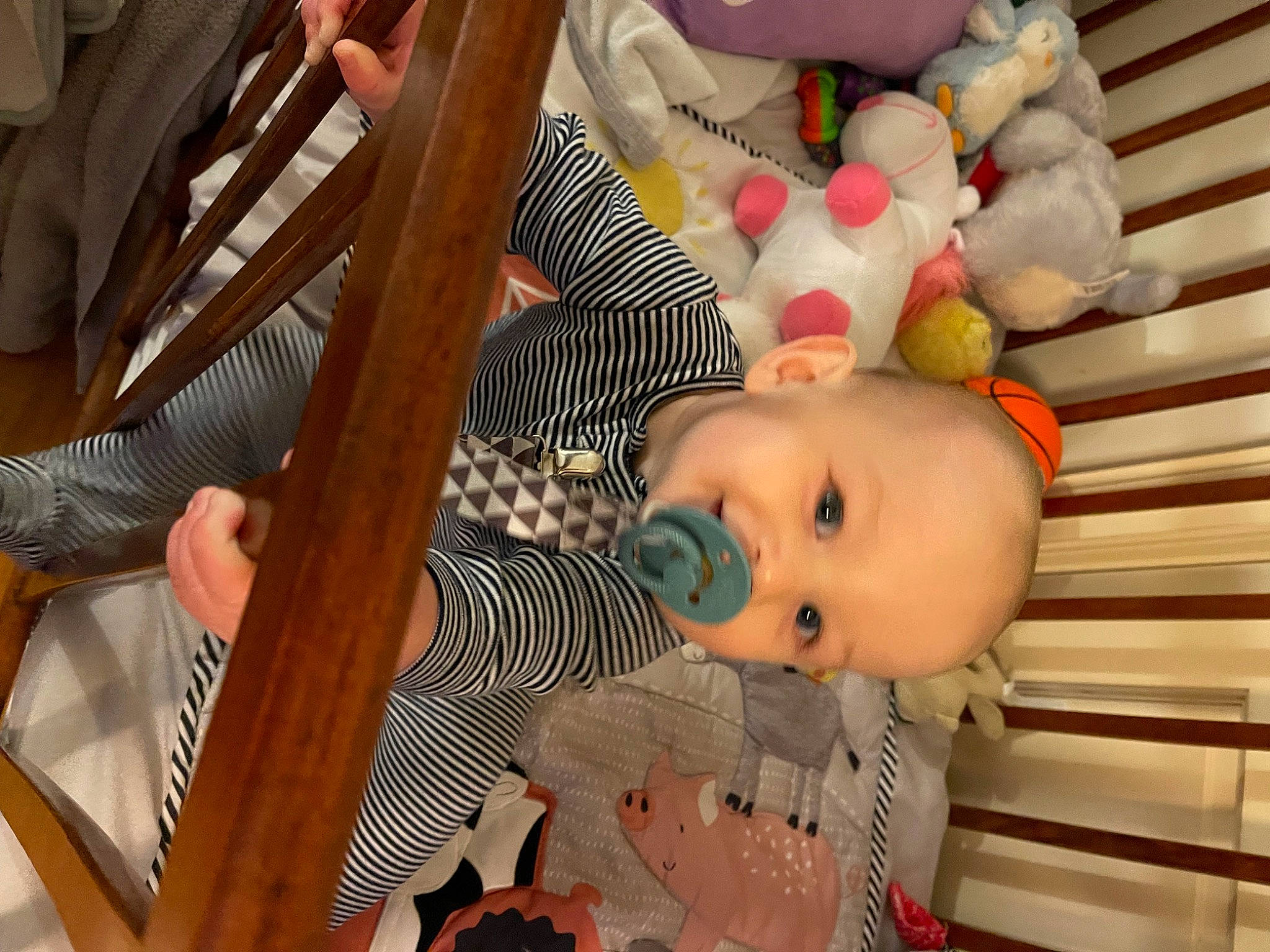 Gavin is registered to the contest to win money with this photo: baby, baby_products, baby_safety, baby_toddler_clothing, baby_toys, cheek, child, comfort, eyelash, facial_expression, fun, happy, iris, organ, pattern, person, room, skin, toddler, toy