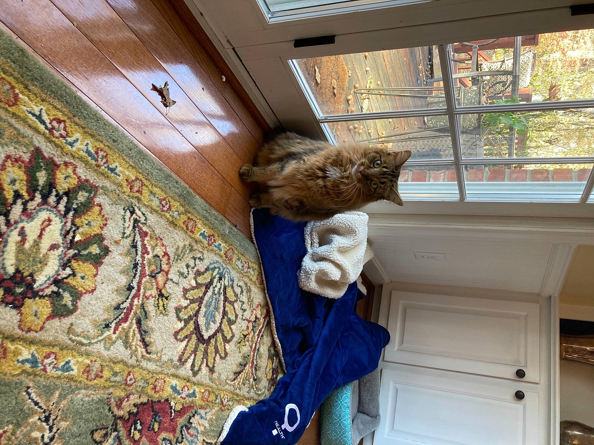 Barnaby is registered to the contest to win money with this photo: art, beam, building, ceiling, chair, flooring, house, interior_design, molding, pattern, plant, property, room, sash_window, sculpture, textile, tree, wall, window, wood