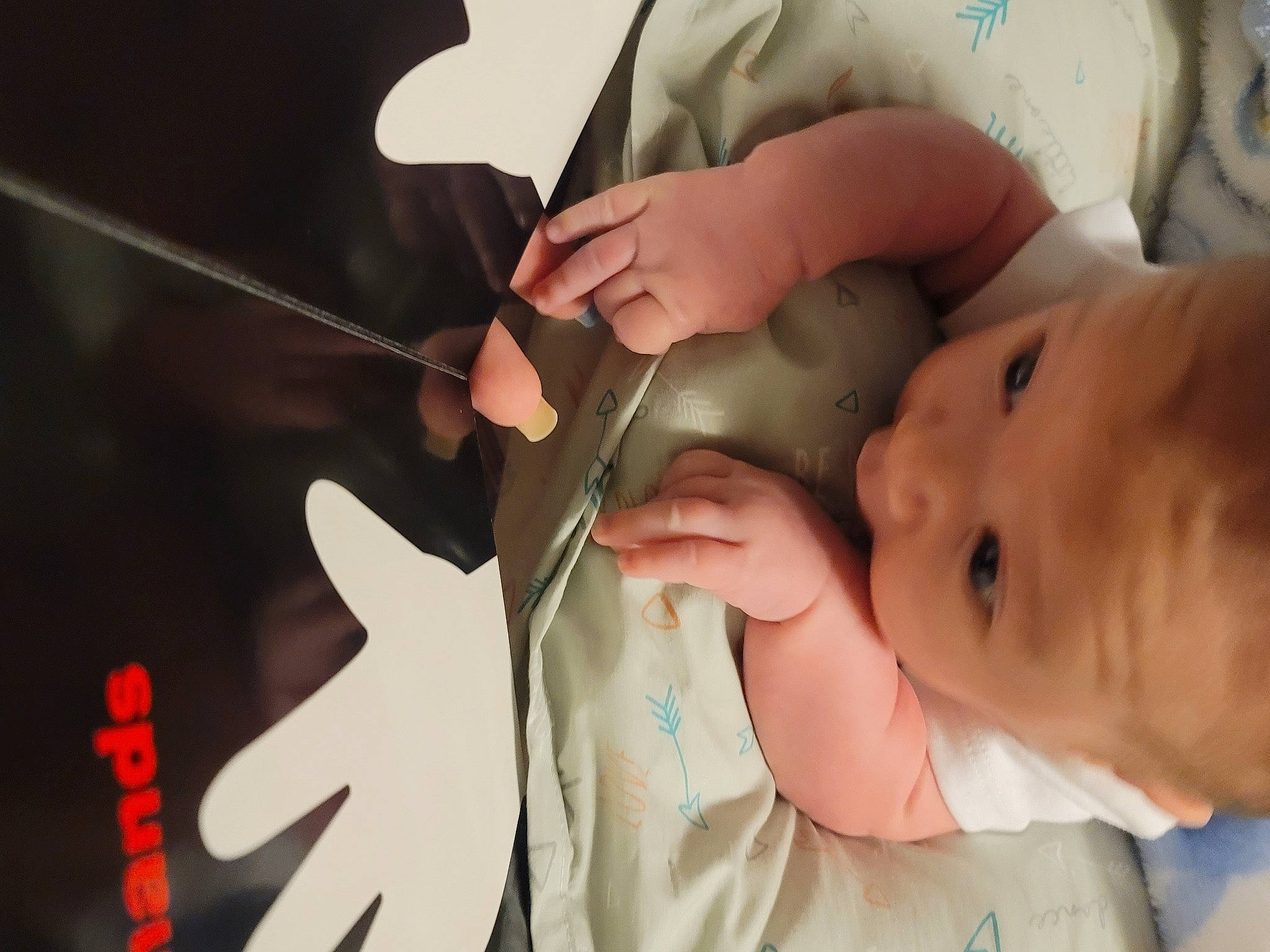 Leonidas is registered to the contest to win money with this photo: baby, cheek, chin, ear, eye, eyebrow, eyelash, finger, gesture, happy, headgear, human_body, iris, lip, mouth, neck, nose, person, skin, thumb