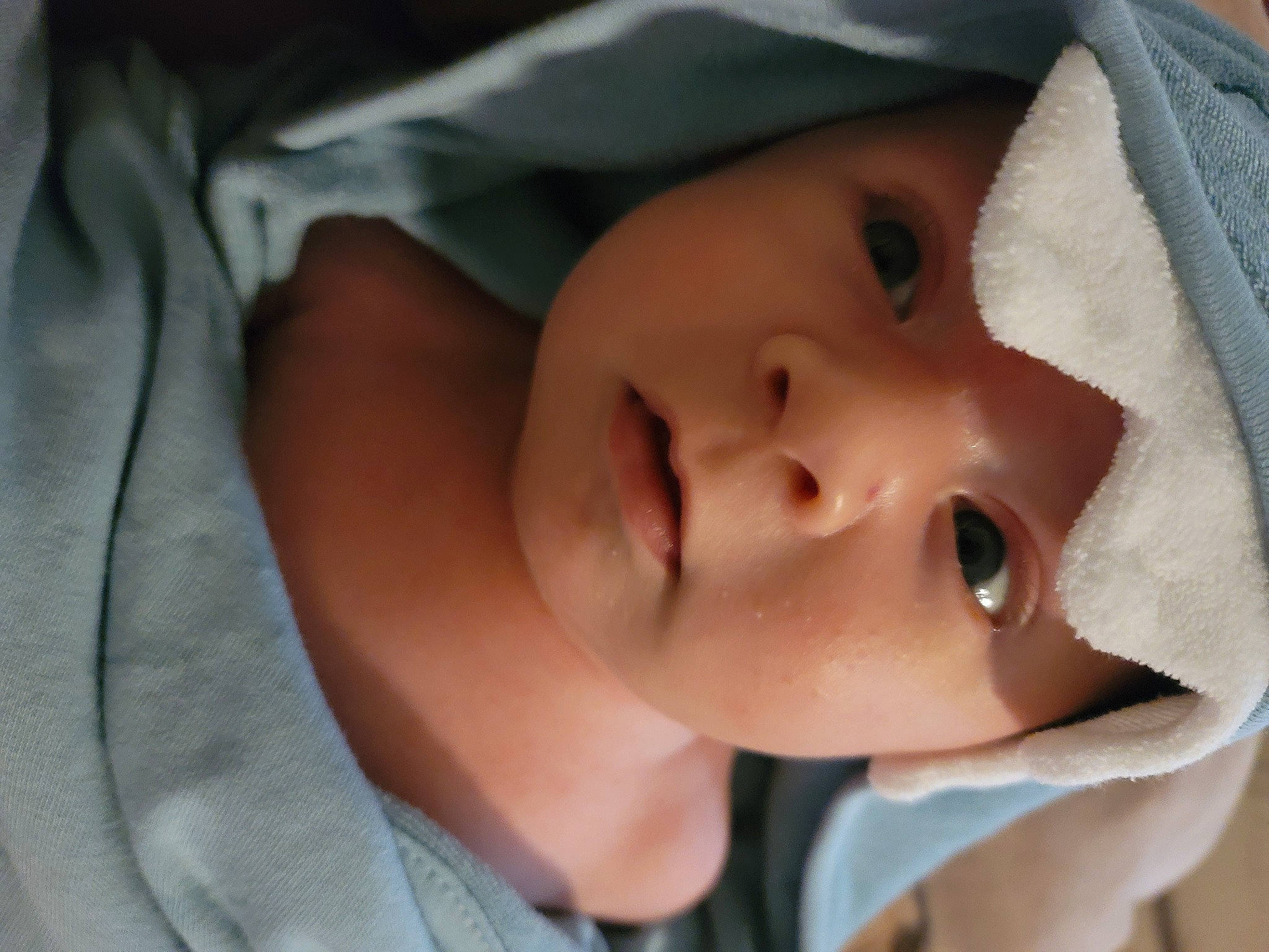 Leonidas joined the competition — help win amazing prizes! baby, cheek, child, chin, close_up, eye, eyebrow, eyelash, face, facial_expression, forehead, happy, hat, headwear, iris, lip, mouth, nose, person, skin