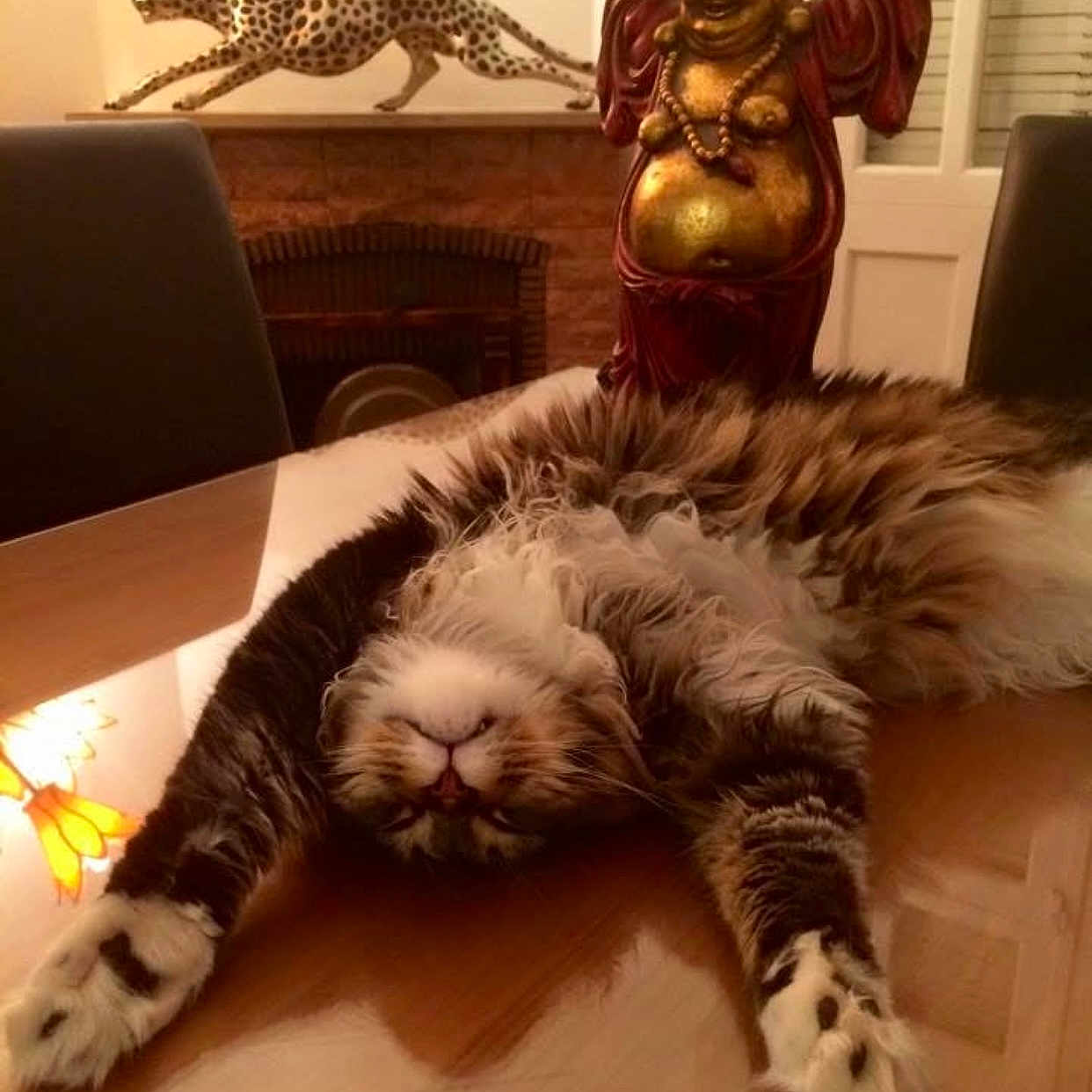 Jango participe au concours pour gagner de l'argent avec cette photo : animal, buddha_statue, cat, chair, cheetah_sculpture, cozy, decor, fluffy, furniture, home, indoor, interior, ornament, pet, relaxed, statue, stretching, tabby, table, wooden_table