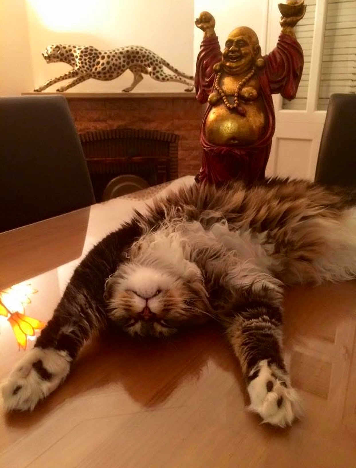 Jango participe au concours pour gagner de l'argent avec cette photo : cat, fluffy, stretching, table, wooden_table, buddha_statue, cheetah_sculpture, decor, interior, chair, relaxed, furniture, home, cozy, animal, pet, tabby, indoor, ornament, statue