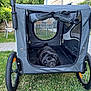 Ourson a rejoint le concours — aidez-le/la à gagner de superbes lots ! animal, black_dog, canine, chair, dog, garden, grass, greenery, leisure, mesh_window, outdoor, pet, pet_stroller, pug, relaxation, resting, summer, sunlight, wheels, yard