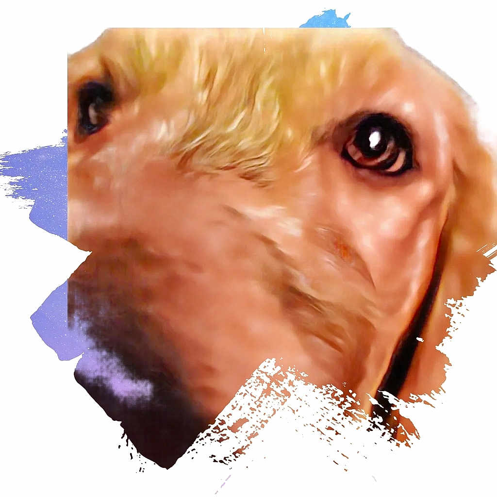 Mick is registered to the contest to win money with this photo: dog, close_up, face, animal, portrait, brown_fur, eyes, snout, artistic, abstract, brushstroke, canine, pet, muzzle, expression, texture, fur, animal_portrait, head, creative