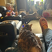 Chai is registered to the contest to win money with this photo: cat, person, recliner, slipper, footwear, plants, window, curtains, carpet, living_room, furniture, leather, elderly, snack, relaxation, pet, animal, indoor, cozy, home