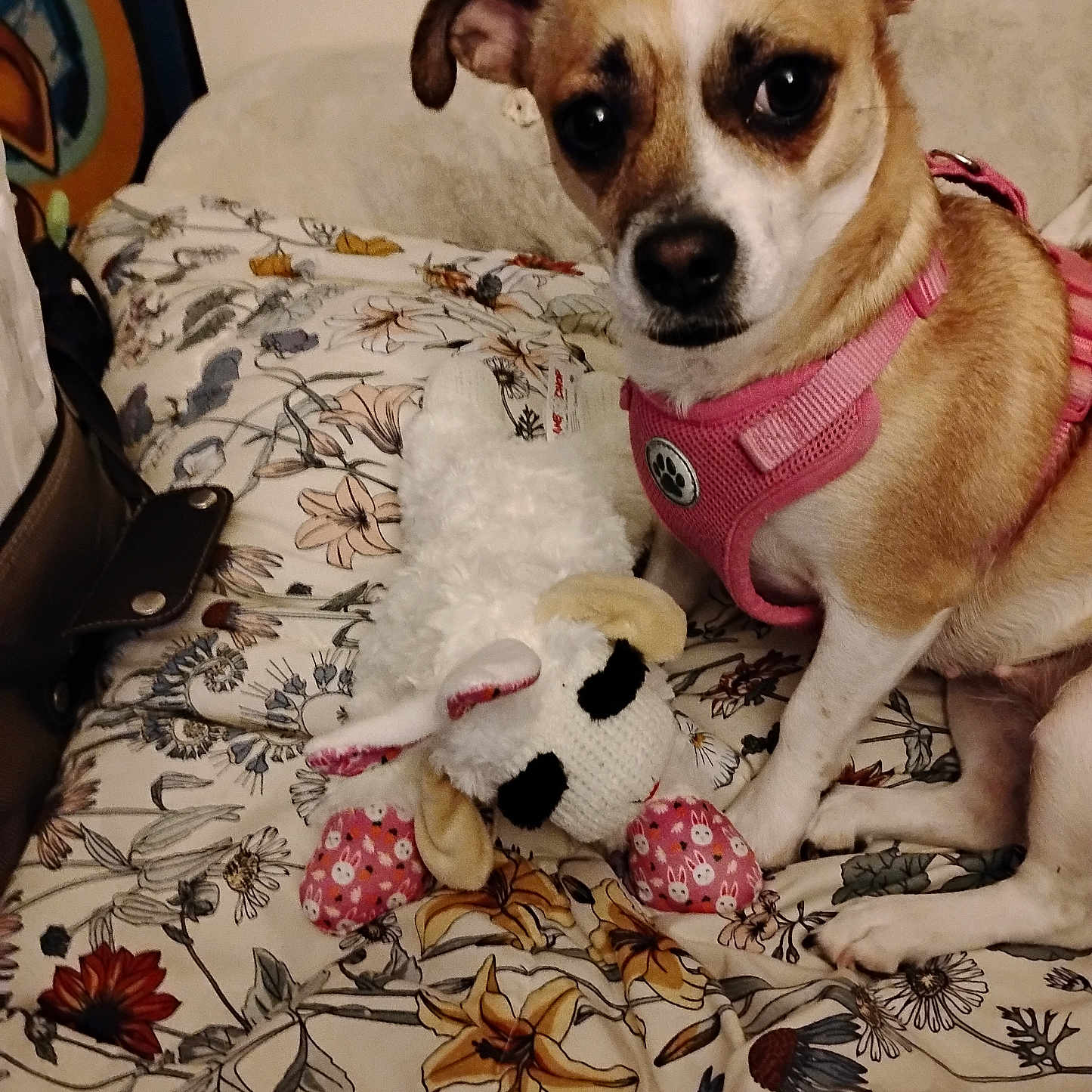 Tika