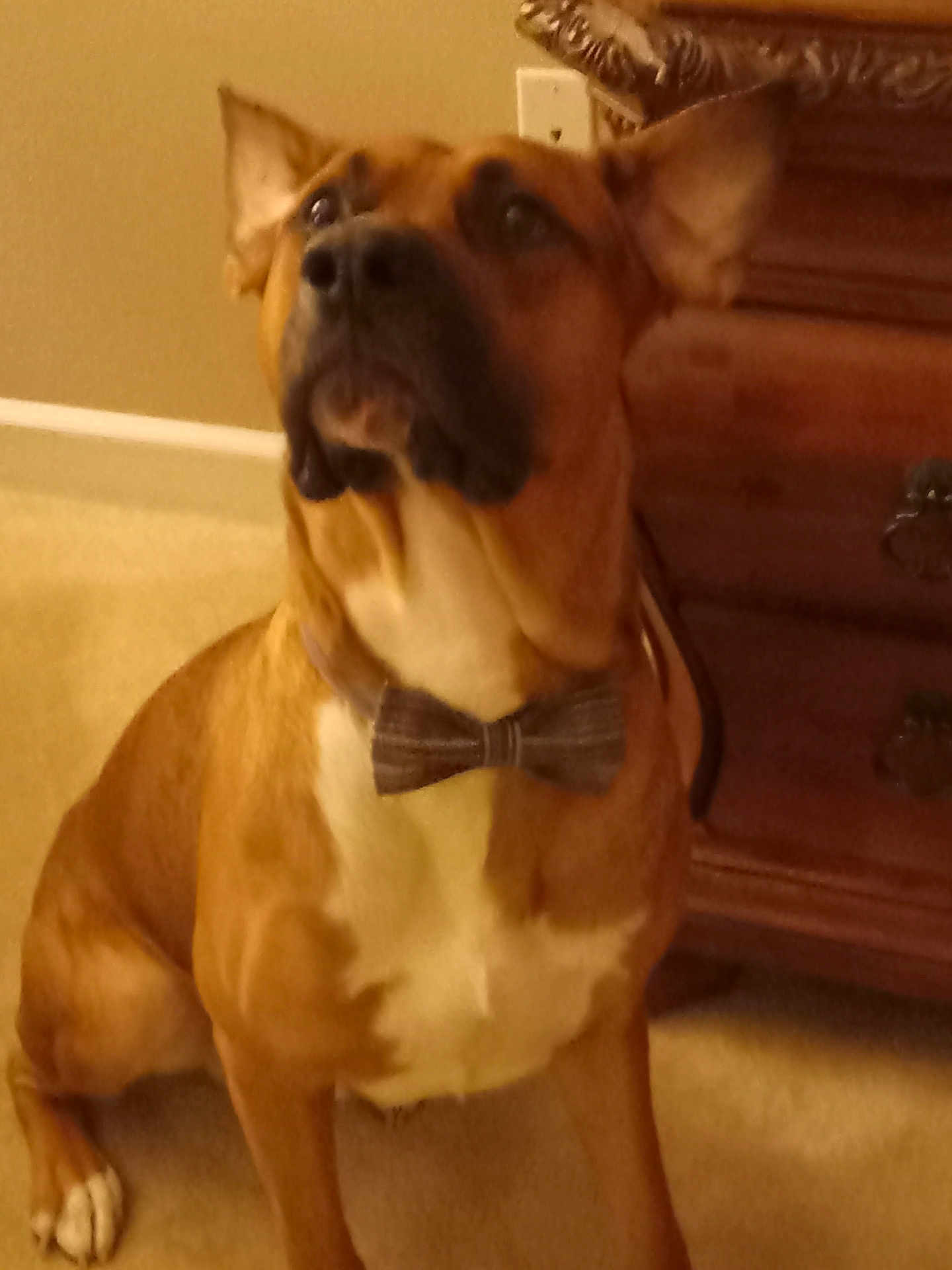Roscoe