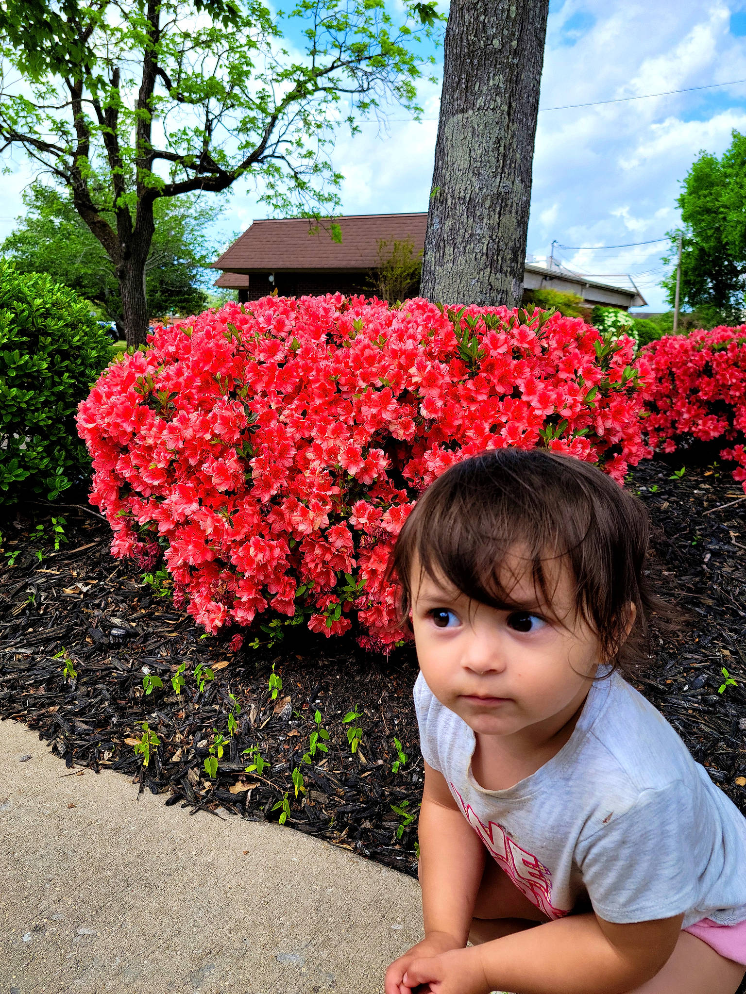 Eloisa joined the competition — help win amazing prizes! baby_toddler_clothing, botany, flower, grass, groundcover, happy, leaf, leisure, nature, people_in_nature, person, petal, pink, plant, red, shrub, sky, summer, toddler, tree