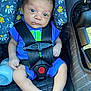 baby, infant, car_seat, seatbelt, blue_clothing, bottle, floral_pattern, face, arms, legs, feet, sitting, child, safety, indoors, person, cute, newborn, expression, comfort