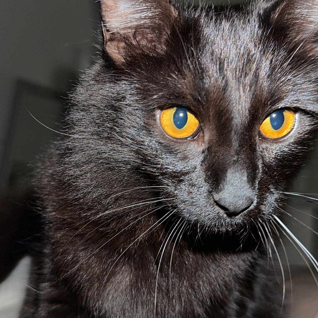 Luna