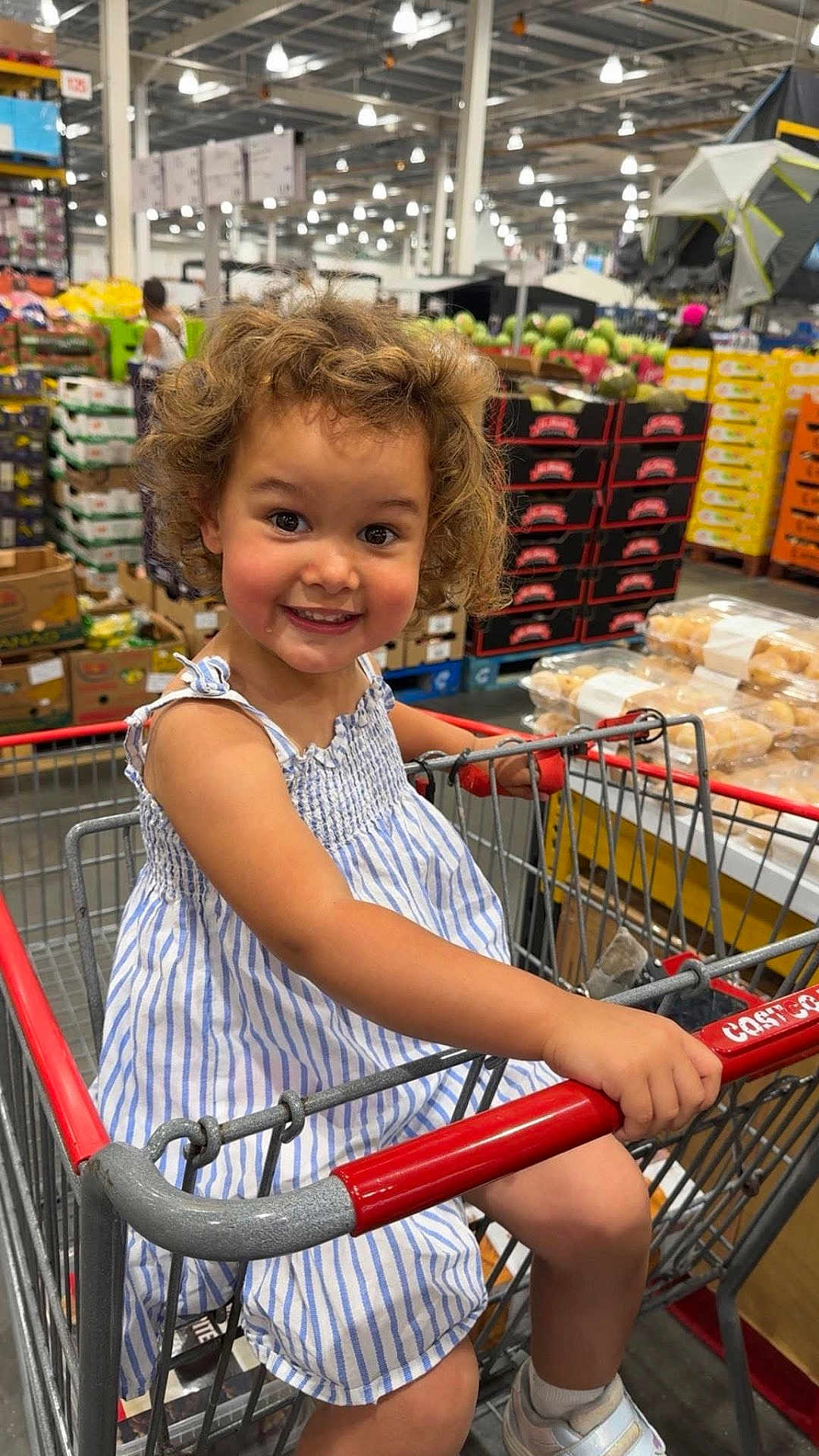 Willow-Rose is registered to the contest to win money with this photo: child, toddler, shopping_cart, curly_hair, smiling, dress, striped_clothing, indoor, supermarket, produce, boxes, person, footwear, socks, retail, grocery_store, happy, young_child, holding, seat