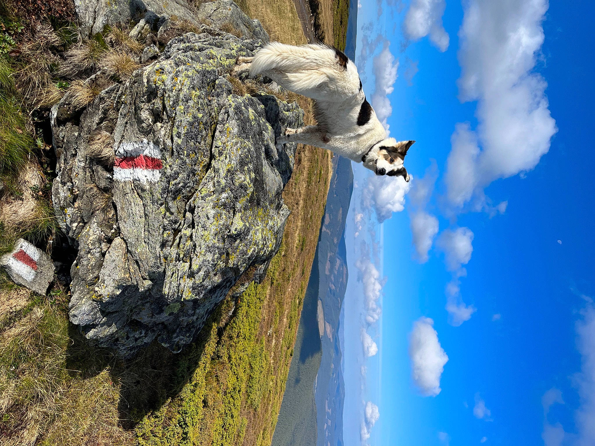 Ursus participe au concours pour gagner de l'argent avec cette photo : adventure, bedrock, blue, cloud, electric_blue, formation, geological_phenomenon, klippe, mountain, outcrop, plant, recreation, rock, sculpture, sky, sport_climbing, terrain, tree, trunk, wood