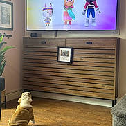 Ranger joined the competition — help win amazing prizes! bulldog, puppy, dog, wooden_floor, tv_screen, animated_characters, cat_characters, living_room, cabinet, plant, picture_frame, cozy, indoor, pet, watching_tv, furniture, home_decor, flooring, animal, cute