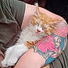 animal, arm, close_up, colorful, cozy, cute, domestic_cat, floral_tattoo, furry, human_arm, indoor, kitten, orange_cat, peaceful, pet, resting, sleeping, soft, tattoo, white_cat
