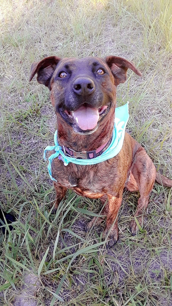 Roxie