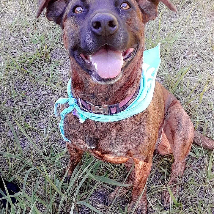 Roxie