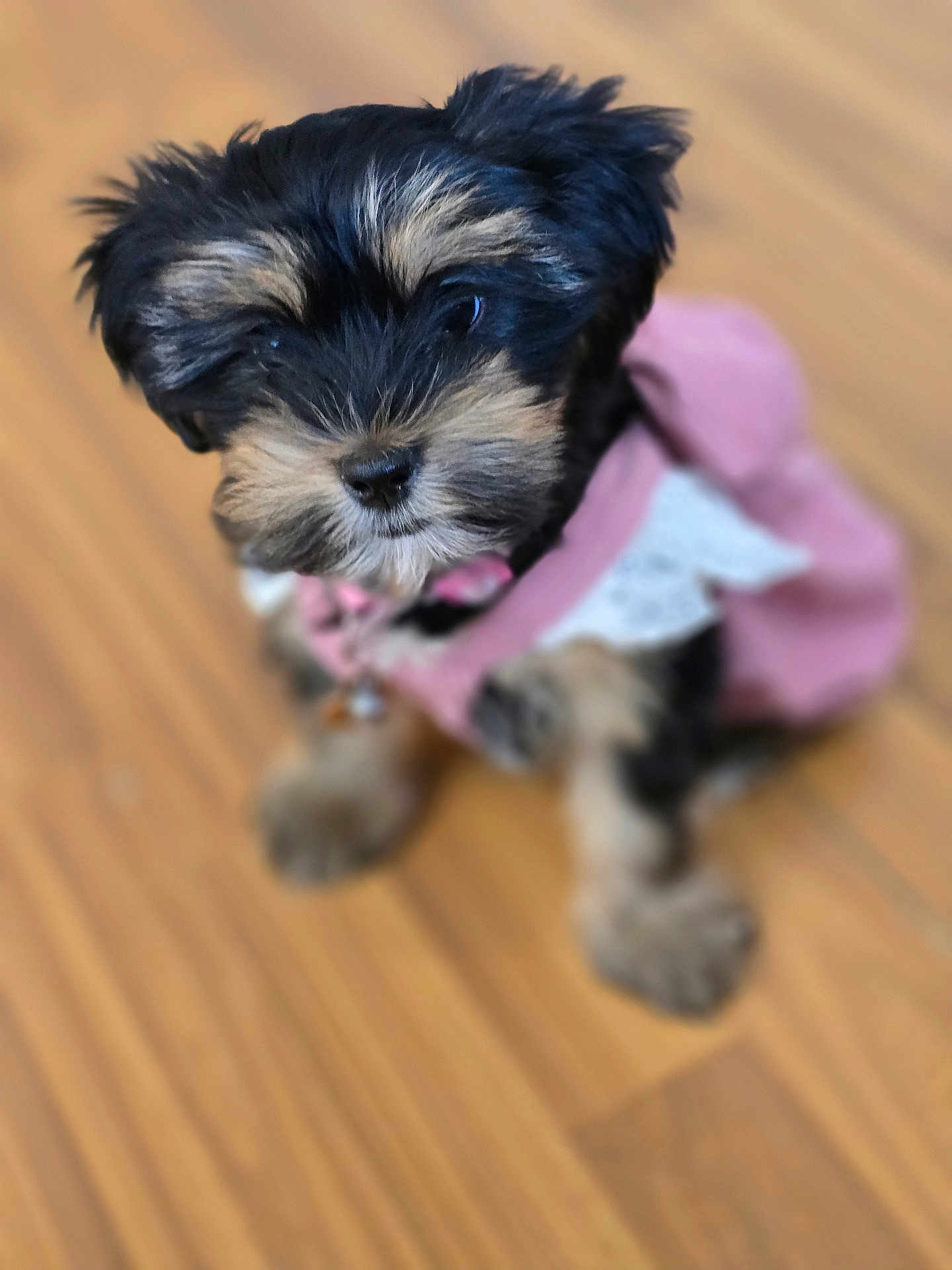 Luna