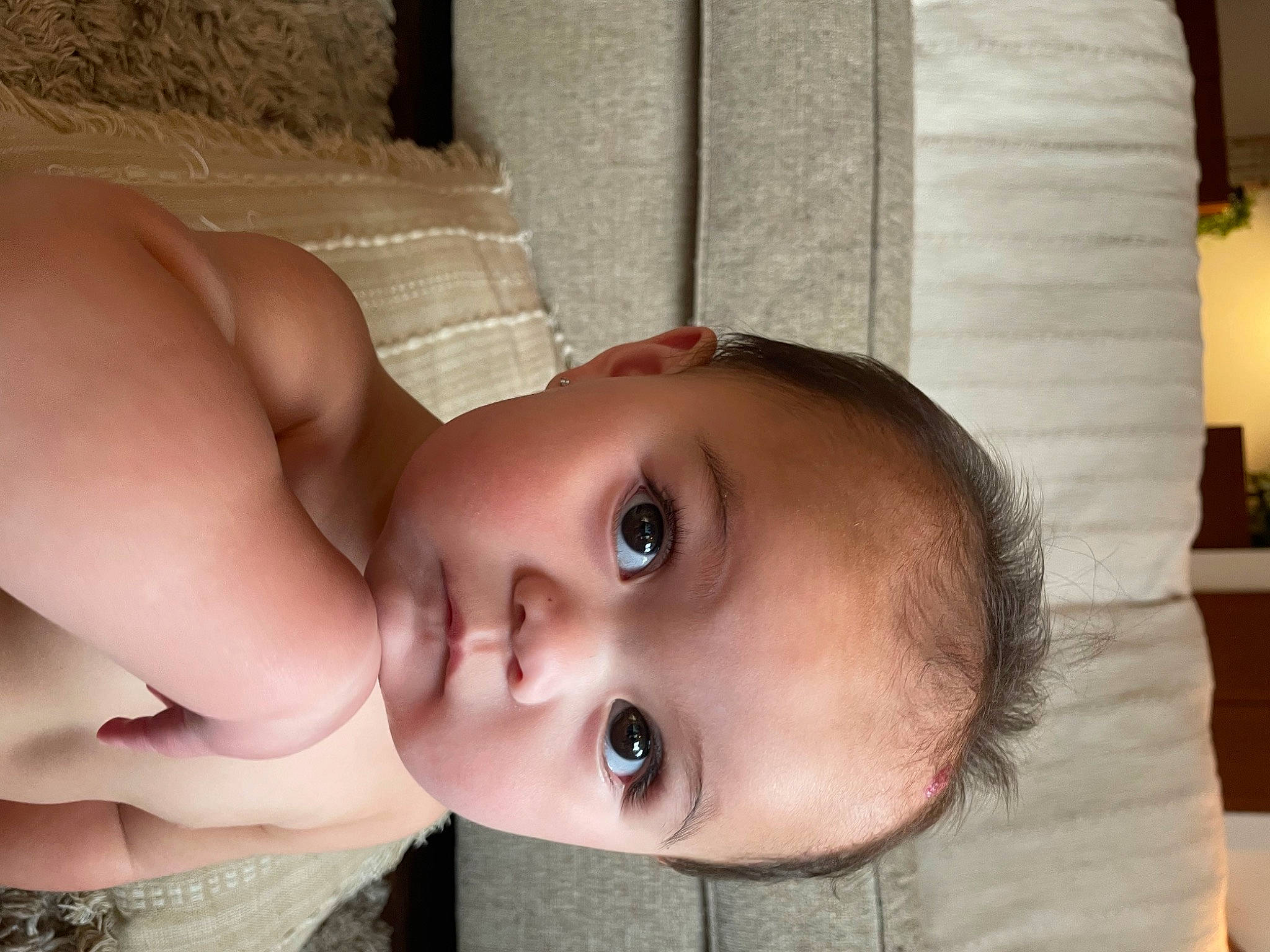 Laila is registered to the contest to win money with this photo: baby, cheek, chin, ear, eye, eyebrow, eyelash, face, facial_expression, forehead, head, human_body, iris, lip, mouth, neck, nose, person, shoulder, skin