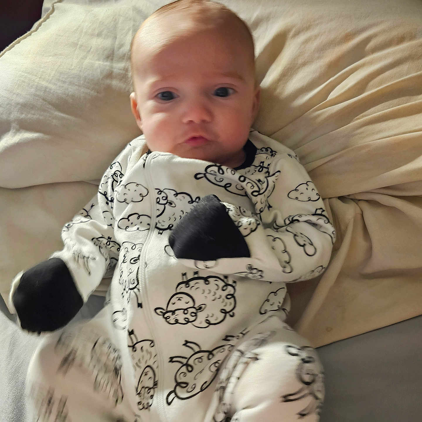 Michael joined the competition — help win amazing prizes! baby, bed, blanket, bodypart, clothing, couch, cushion, face, finger, furniture, hand, head, homedecor, newborn, pajamas, pants, person, photography, portrait, quilt