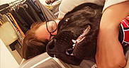Anzo a rejoint le concours — aidez-le/la à gagner de superbes lots ! bed, black_dog, blanket, casual, clothing_rack, cozy, cuddling, dog, face, glasses, hair, hand, home, indoor, person, pillow, relaxing, sleeve, smiling_dog, teeth