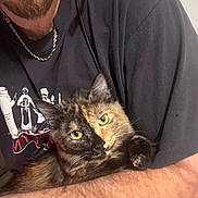 Serafina is registered to the contest to win money with this photo: cat, tortoiseshell_cat, person, arm, beard, chain_necklace, black_tshirt, indoor, pet, feline, green_eyes, close_up, comfort, cuddle, fur, portrait, animal, young_adult, casual_clothing, human
