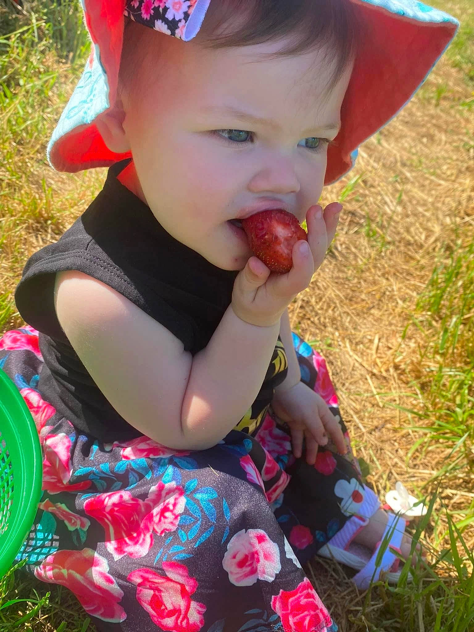 Isla is registered to the contest to win money with this photo: baby_toddler_clothing, clothing, dress, eye, face, facial_expression, fruit, grass, happy, hat, head, human_body, leaf, lip, people_in_nature, person, pink, plant, red, skin