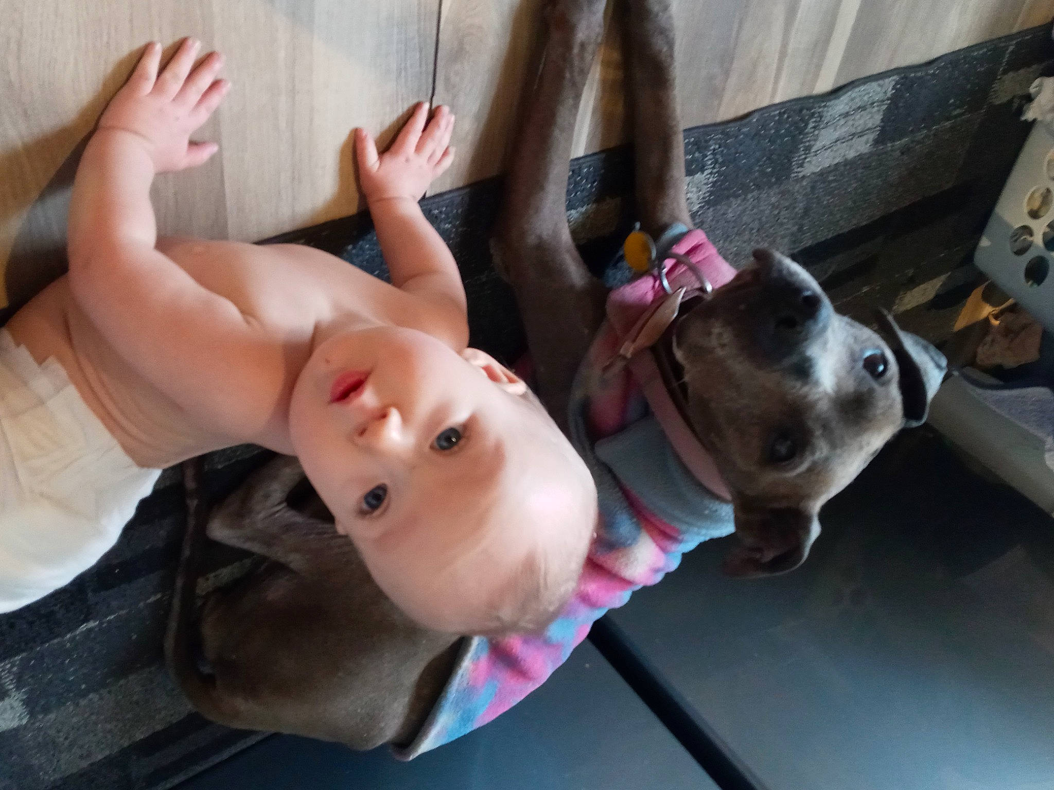 Anastasia joined the competition — help win amazing prizes! abdomen, art, black_hair, chest, eyelash, eyewear, fawn, foot, fun, gesture, glasses, human_leg, mammal, person, snout, thigh, toy, tree, trunk, vertebrate