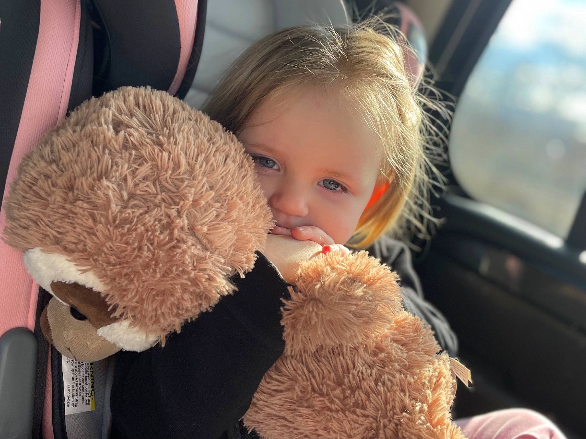 Lileigh is registered to the contest to win money with this photo: beauty, blond, child, comfort, companion_dog, doll, face, fun, fur, hairstyle, happy, head, mammal, nose, person, skin, stuffed_toy, teddy_bear, toddler, toy