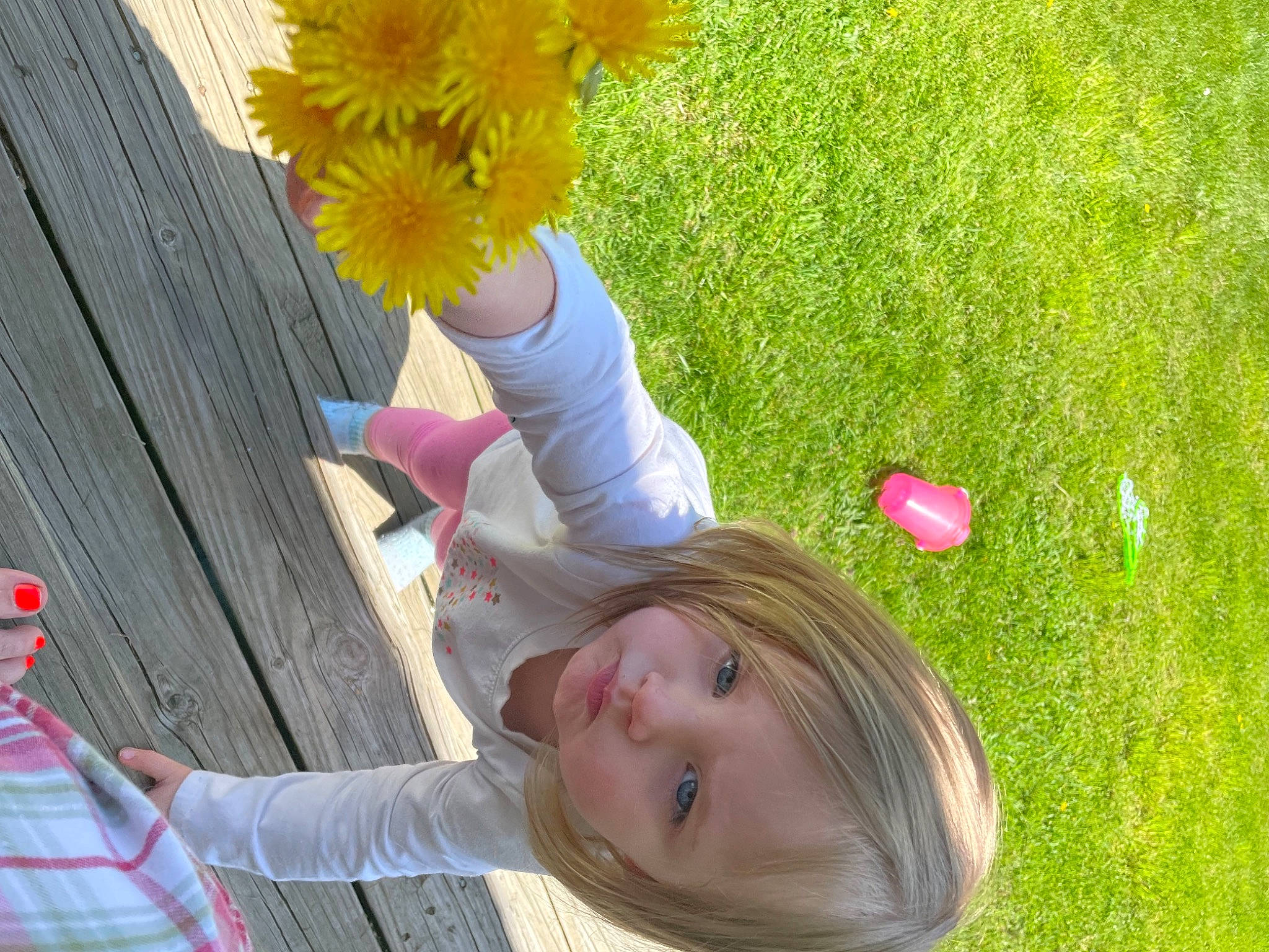 Lileigh is registered to the contest to win money with this photo: beauty, child, flower, fun, gesture, grass, green, happy, human_leg, leaf, leisure, people_in_nature, person, petal, pink, plant, recreation, smile, spring, thigh