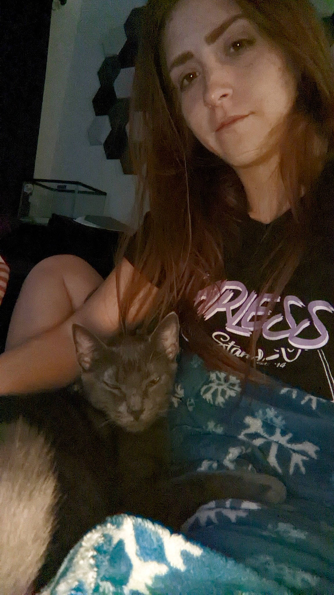 Jasper is registered to the contest to win money with this photo: bed, brown_hair, carnivore, cat, comfort, domestic_short_haired_cat, eye, eyelash, fawn, felidae, flash_photography, fur, head, jewellery, linens, necklace, sitting, small_to_medium_sized_cats, tail, whiskers