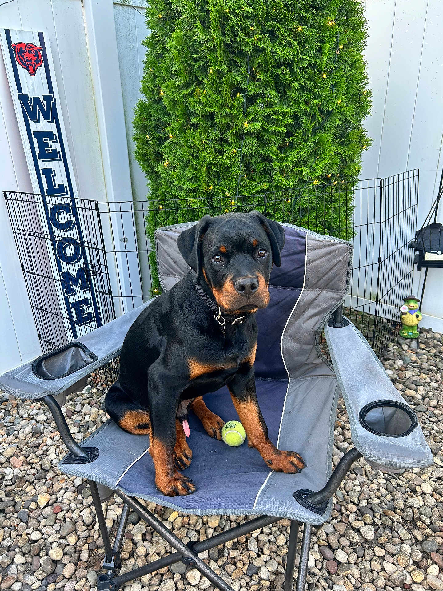 Kane