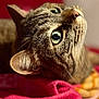 cat, tabby, close_up, green_eyes, fur, whiskers, ear, nose, red_blanket, cozy, indoor, pet, animal, sleeping_area, texture, curious, soft_light, portrait, resting, feline