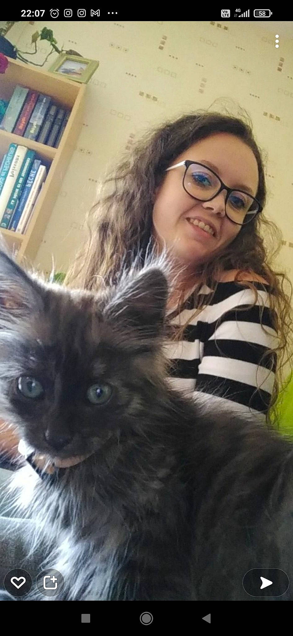 Nounoutte a rejoint le concours — aidez-le/la à gagner de superbes lots ! bookcase, carnivore, cat, eye, eyewear, felidae, gesture, glasses, hair, happy, head, iris, lip, nose, organ, shelf, skin, small_to_medium_sized_cats, smile, vision_care