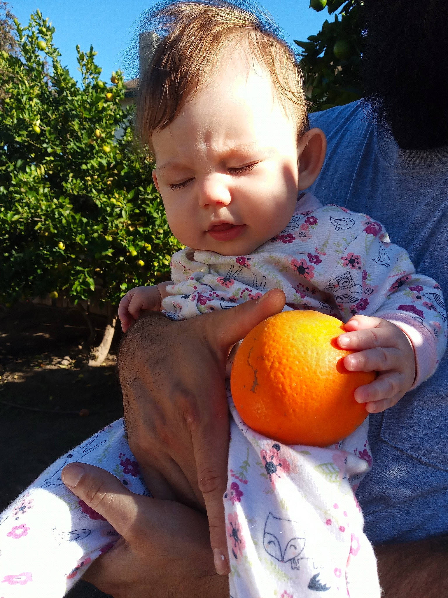 Cordelia joined the competition — help win amazing prizes! child, eating, food, fun, infant, person, plant, play, pumpkin, toddler