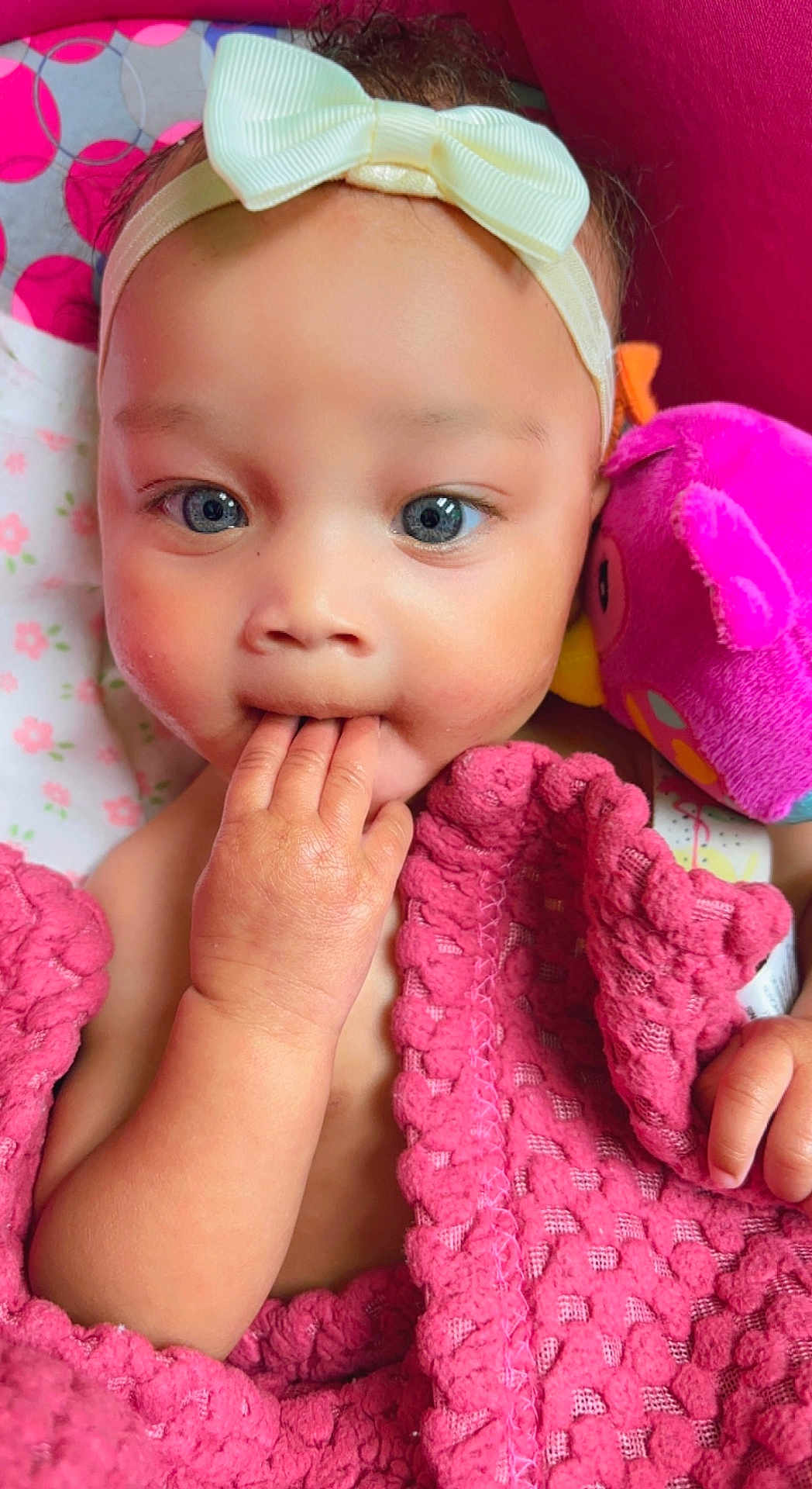 Kayora joined the competition — help win amazing prizes! baby, child, blue_eyes, headband, bow, blanket, pink_blanket, hand, fingers, plush_toy, bird_toy, face, portrait, cute, infant, closeup, indoors, soft_toy, sleeping_area, cozy