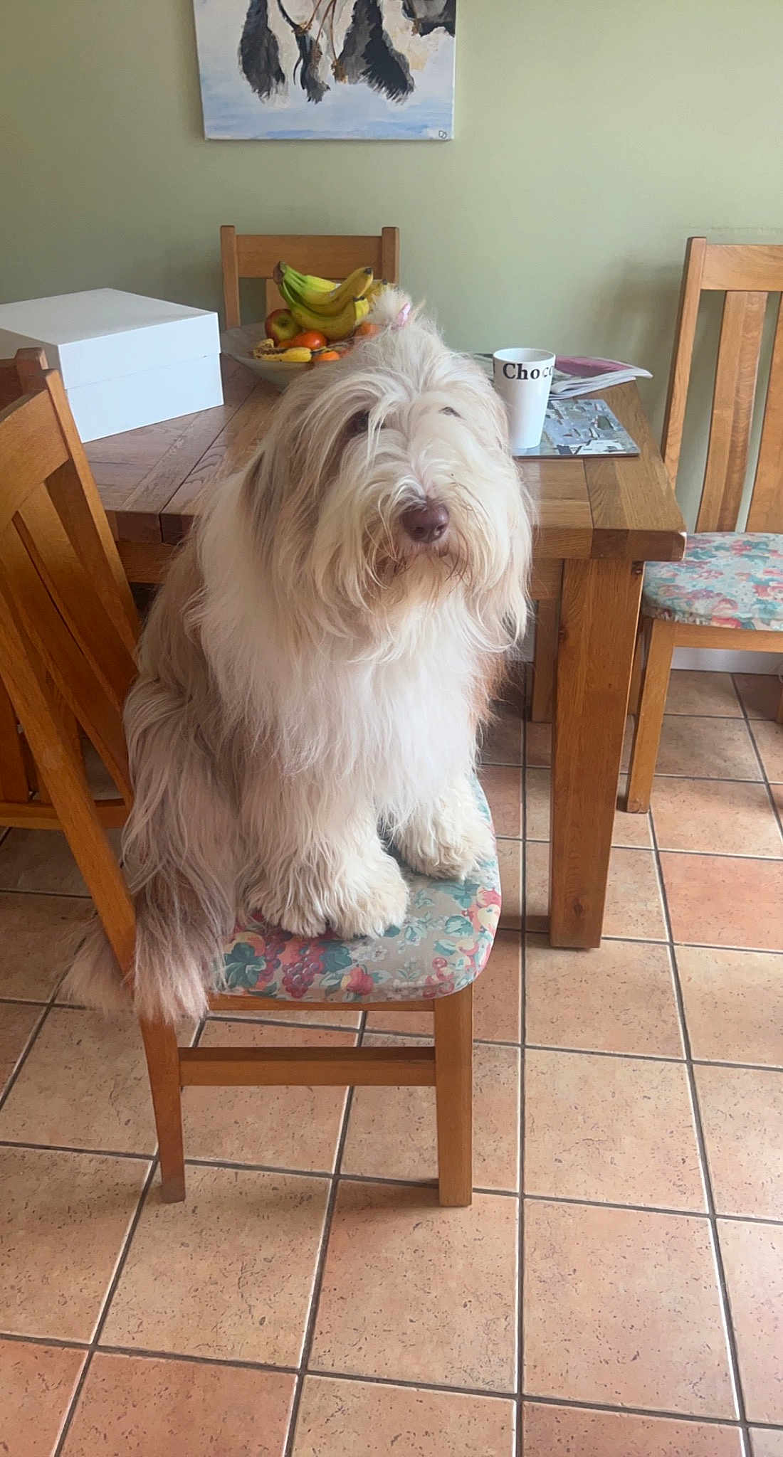 Tilly-mae