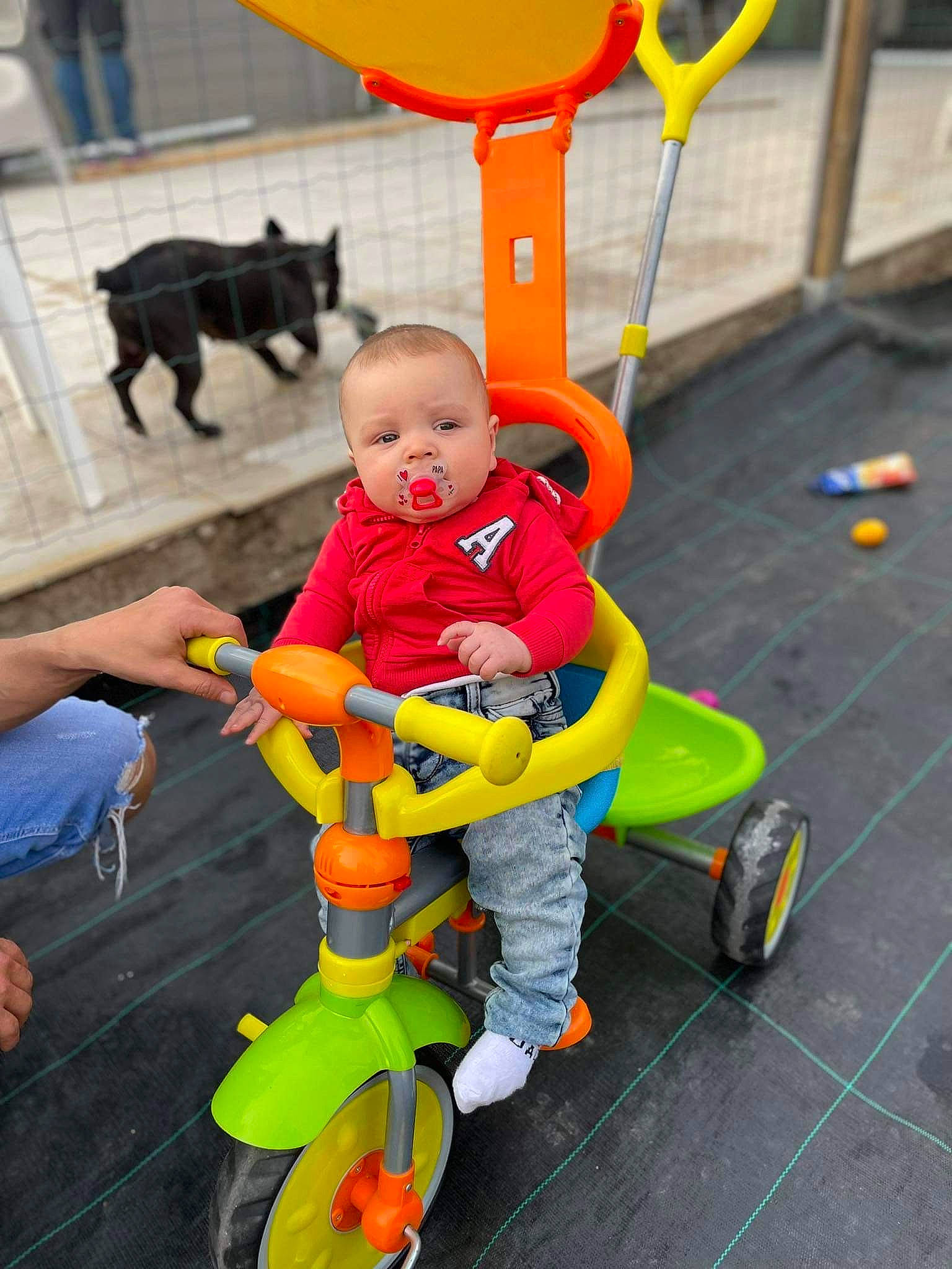 Lohan a rejoint le concours — aidez-le/la à gagner de superbes lots ! baby, baby_toddler_clothing, bicycle, child, fun, green, orange, person, photograph, product, public_space, recreation, red, riding_toy, snapshot, tire, toddler, toy, wheel, white