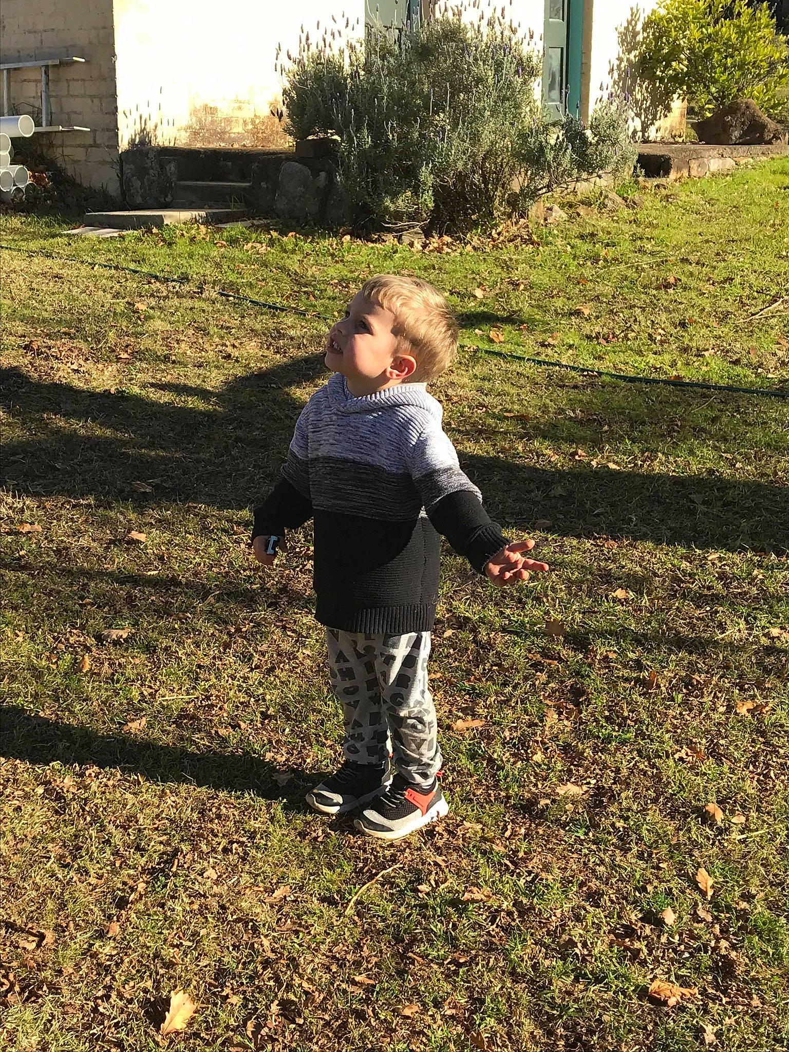 Archer is registered to the contest to win money with this photo: asphalt, child, field, flooring, grass, grass_family, grassland, landscape, lawn, people_in_nature, person, plant, road_surface, shadow, sneakers, soil, standing, sunlight, toddler, tree