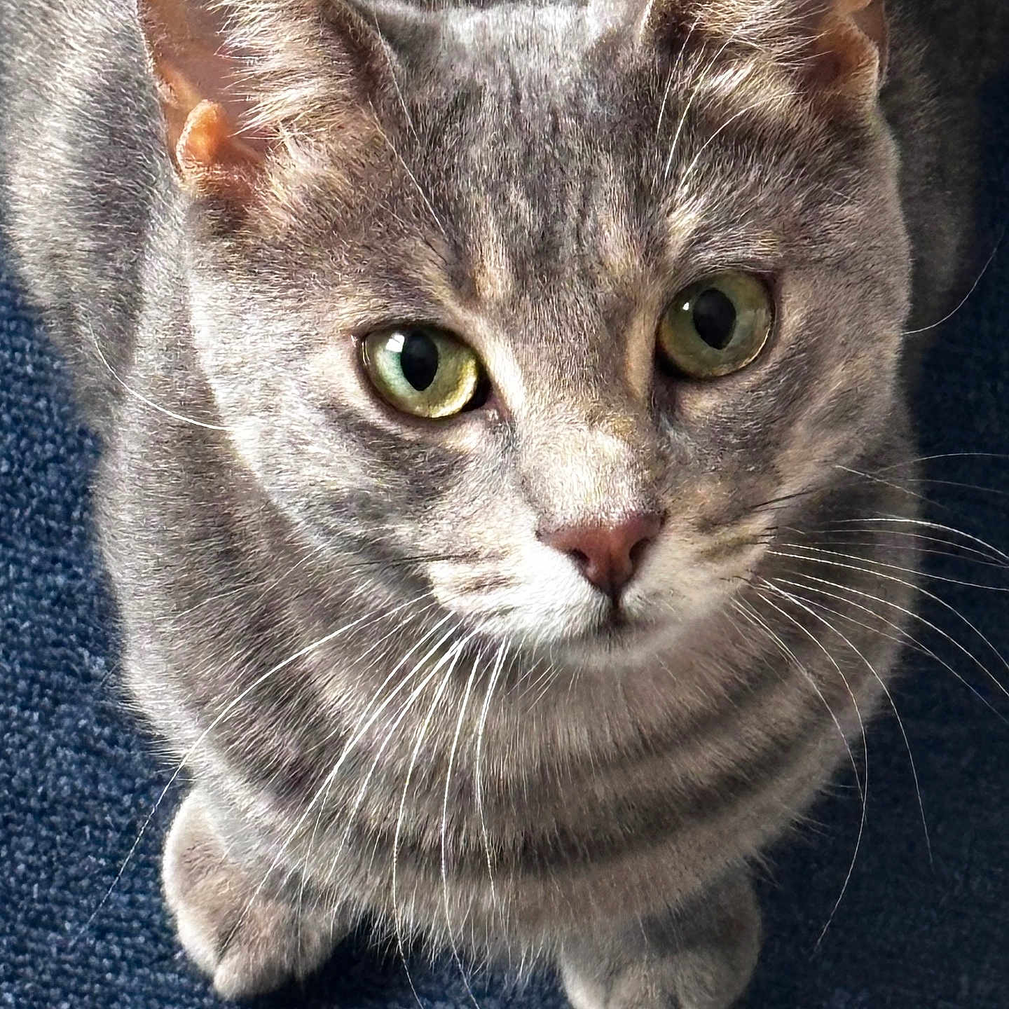 Winnie