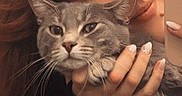 Winnie a rejoint le concours — aidez-le/la à gagner de superbes lots ! person, cat, gray_tabby, pet, selfie, red_hair, hand, nail_art, indoor, close_up, face, fur, whiskers, cute, expression, cozy, portrait, holding, soft_light, warm_tone