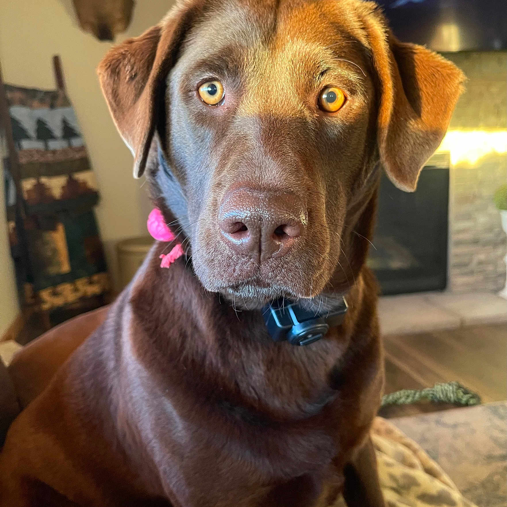 Winnie