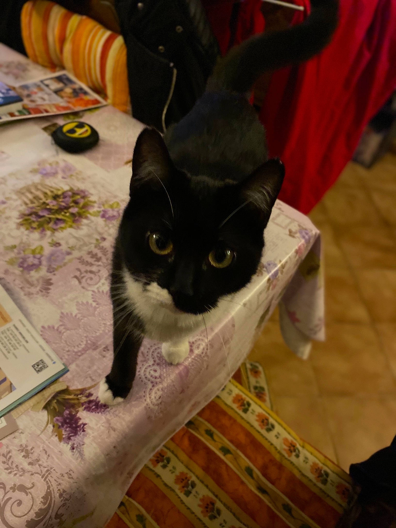 Black And White participe au concours pour gagner de l'argent avec cette photo : carnivore, cat, domestic_short_haired_cat, felidae, fur, home_accessories, linens, paper, paper_product, small_to_medium_sized_cats, snout, vertebrate, whiskers