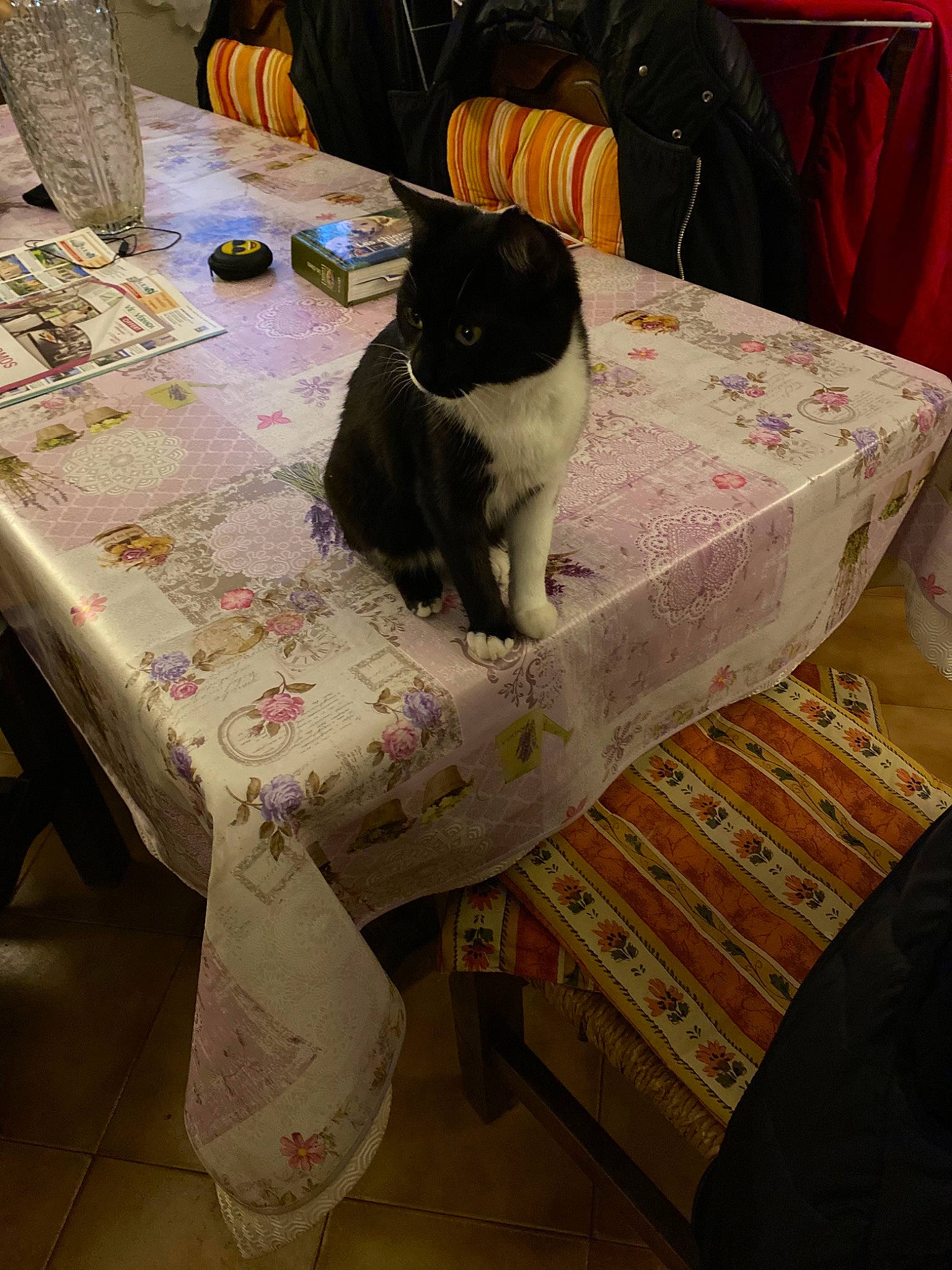 Black And White participe au concours pour gagner de l'argent avec cette photo : black_cat, carnivore, cat, felidae, floor, flooring, fur, home_accessories, interior_design, linens, room, slipcover, small_to_medium_sized_cats, tablecloth, textile, whiskers